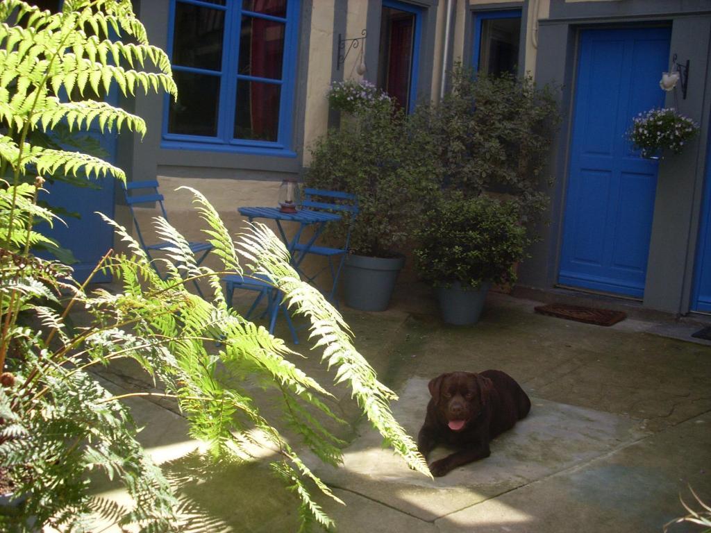 Reglisse Et Pain D'Epices - Chambres D'Hotes Honfleur Eksteriør bilde